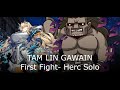 [Lostbelt 6] Tam Lin Gawain First Fight - Herc Solo