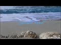 شاب يقلد إسلام صبحي آخر سورة المؤمنون في صلاة التراويح صوت جميل جدا