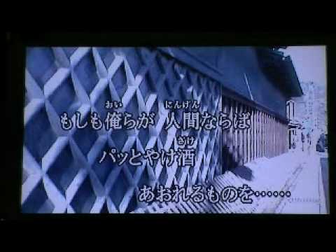 ノラ猫三度笠 さくらまや YouTube