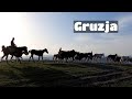 GoPro | Gruzja Kachetia | Sped stada koni | Horseback riding