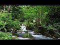 Relaxing Nature Sounds, ASMR