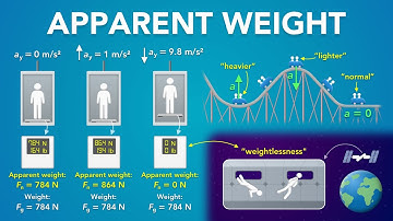 Apparent Weight, Normal Force and Scales in an Elevator | Physics - Forces & Newton