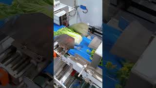 Faster &amp; Standardized Vegetable Packing | Reduce Waste with Automation