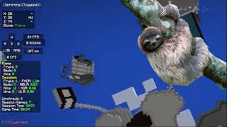Simon Hypixel Gives Me 5 Seconds Of Immortality