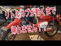 リトルカブが動くまで帰れません！