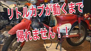 リトルカブが動くまで帰れません！