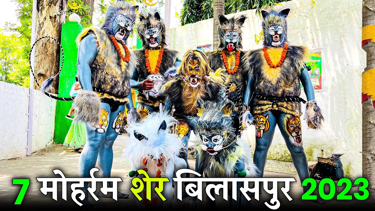 अभिमन्यु धुमाल ग्रुप बिलासपुर 7 मोहर्रम शेर बिलासपुर 2023