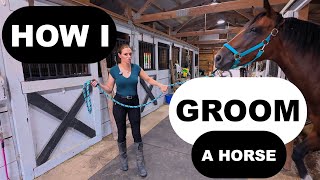 Ep. 19 How to GROOM a HORSE | Step by Step Guide (Even With A FEISTY Horse)
