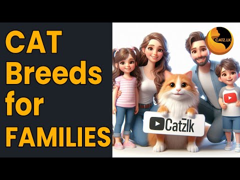 Best Cat Breeds