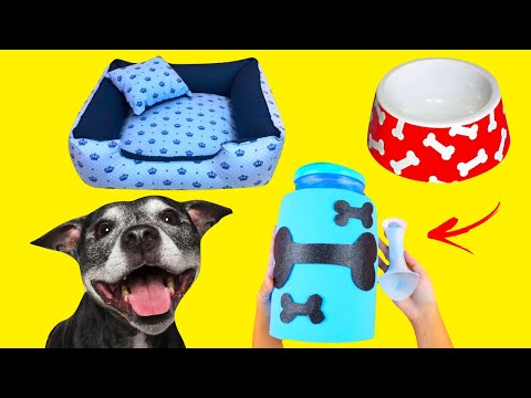 Vídeo: Como Tricotar Coisas Para Cachorros