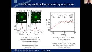 NGBS2021: Single-molecule insights for drug discovery and development - Sabrina Leslie [TALK 8]