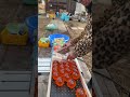 Marble Run ☆ Catherine and the Marble Run③