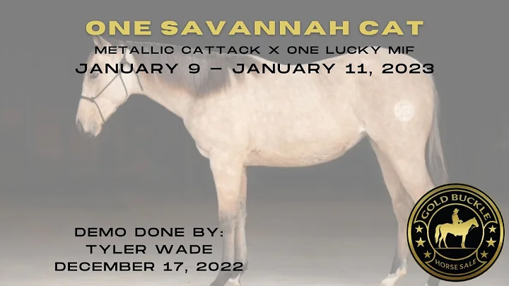 One Savannah Cat- Pink, Ruby & Riata Buckle Prospect