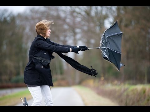 Westerstorm treft Nederland (Marco Verhoef live)