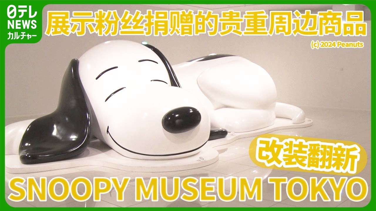SNOOPY MUSEUM TOKYO】改装翻新 展示粉丝捐赠的贵重周边商品 #snoopy 
