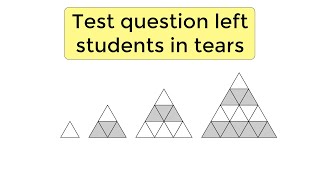 Singapore Test Question That Left Students Crying