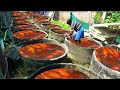 देखिये Factory में कैसे बनाई जाती है मछलिया ( Fish ) || See How Aquarium Fish Are Made In Factory