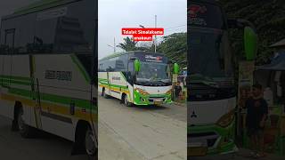 Telolet Simalakama Bikin Candu buspariwisata basuri telolet shorts busmaniacom