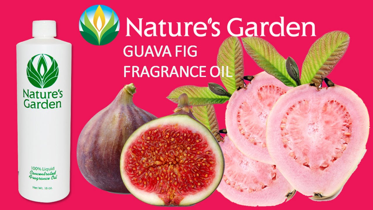 Guava Fig Fragrance Oil Natures Garden YouTube