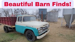 This TIME CAPSULE farm has EVERY truck used since 1931 still here, & they all run! Ford collection