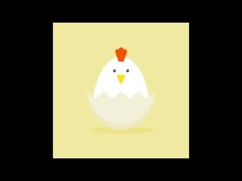 Half day kindergarten chicks