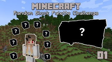 Minecraft RANDOM Block Palette Challenge! (It doesn
