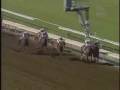 2003 breeders cup classic  pleasantly perfect