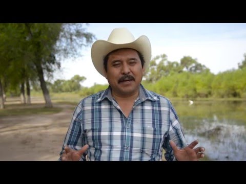 Yaquis: el destino de un río, el destino de una tribu