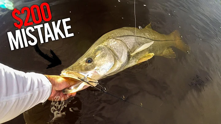 I Broke a $200 Rod Landing this Giant Snook