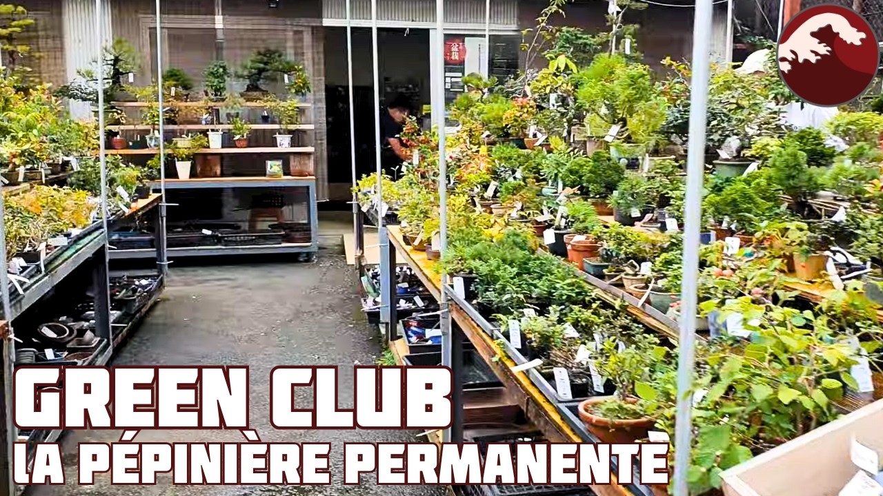 Green Club à Tokyo - La pépinière permanente - 🌱 NEJIKAN BONSAI 🌱