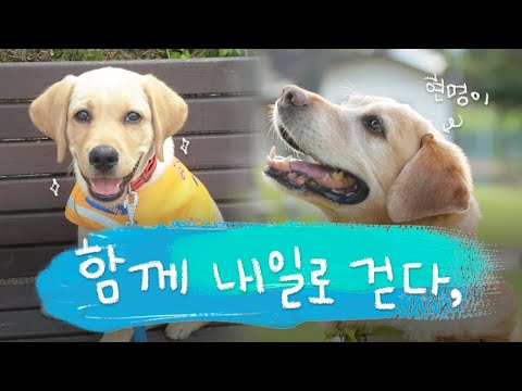 [함께 <strong>내일로</strong> 걷다,] ‘현명하개~오늘도 행복하게!’