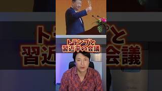 【緊迫】トランプ×習近平、台湾問題でヤバイ会話 のサムネイル