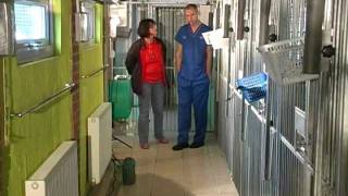 Kennel advice for your pet | PDSA