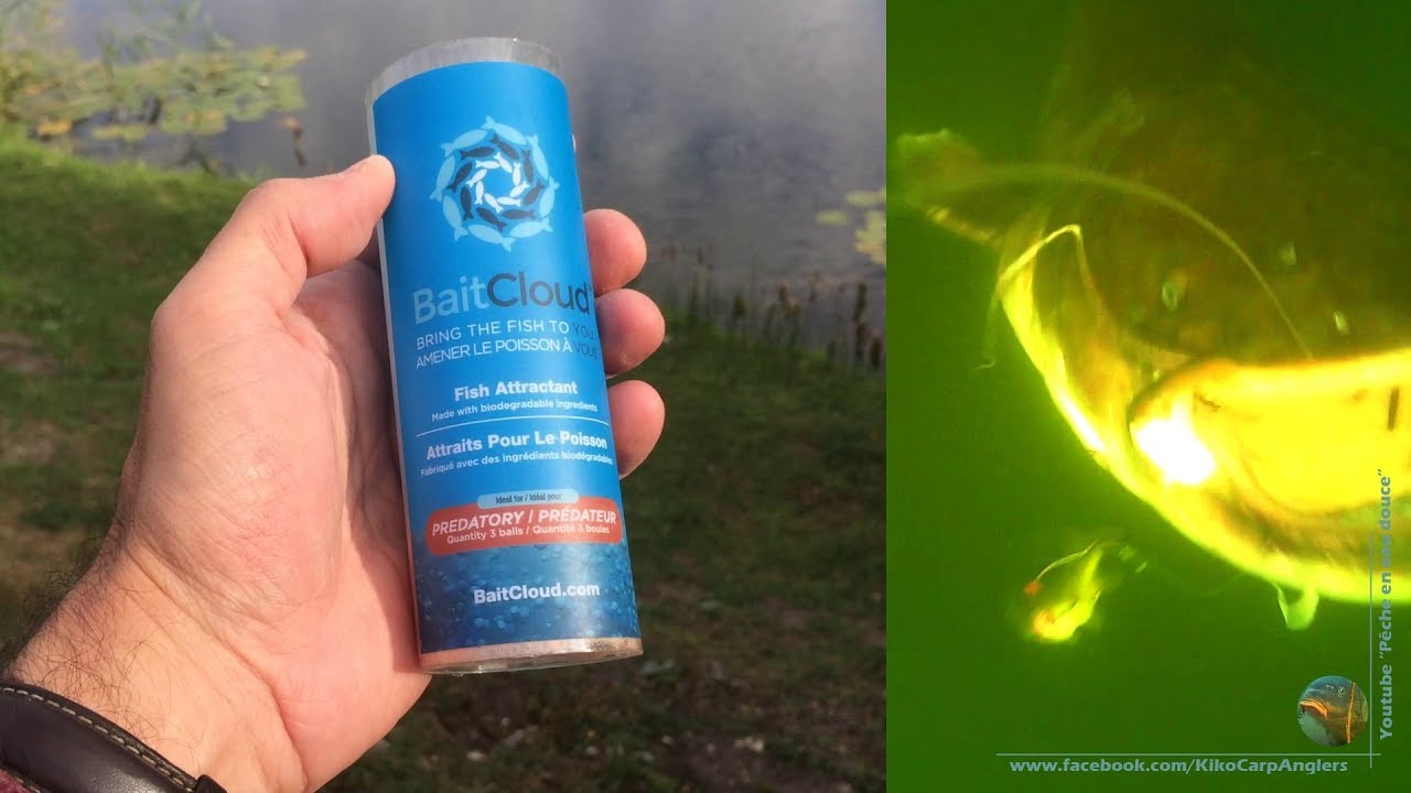 TUTORIAL CATFISH ATTACK using effervescent BAITCLOUD fish attractant