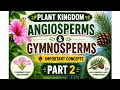 Class 11 Chapter 3.Plant Kingdom Part 2 Biology 🌿 | #neet #biology #ncertbiology