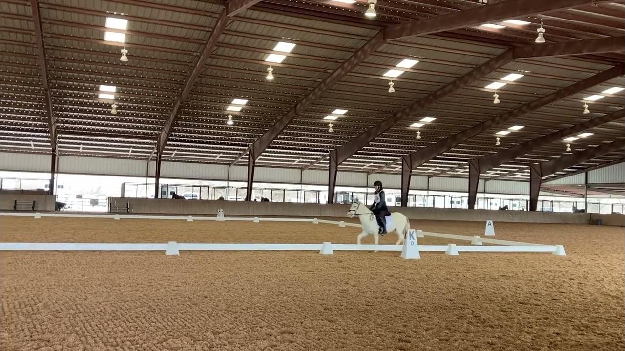 Willow Draw CT USEA Starter Dressage YouTube
