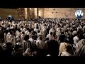 Hoshana rabba by the kotel  sukkos 2023        