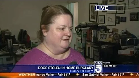Vet Sue Downing Makes Compassionate Plea For Missi...