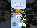 Minecraft Secrets 002