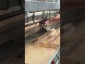 Houten tafel Pasha