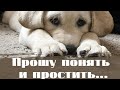 Есть желание поговорить????