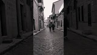 Gönlümü Avutamadım