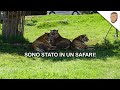 WEEKEND in PUGLIA e ZOO SAFARI  - il mio PRIMO VLOG