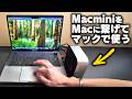 【これで完璧】M4 Mac mini 2024を外に持ち出す方法を思いついた！！！！