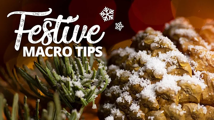 5 Tips for Festive Macro Photography ❄️