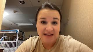 Explaining IDEA and the IEP Process