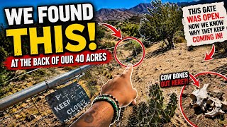 We Hiked to the Back of Our 40 Acres... What We Found Changed Everything! 😳