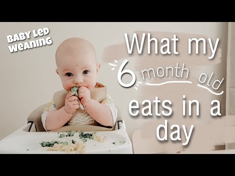 How much should a weaning baby eat - month by month in pictures