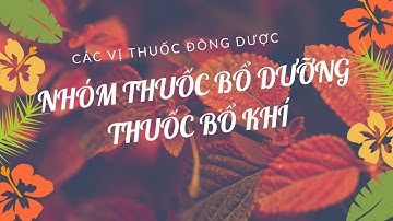 Các Vị Thuốc Đông Dược | Nhóm Thuốc Bổ Dưỡng | Bổ Khí