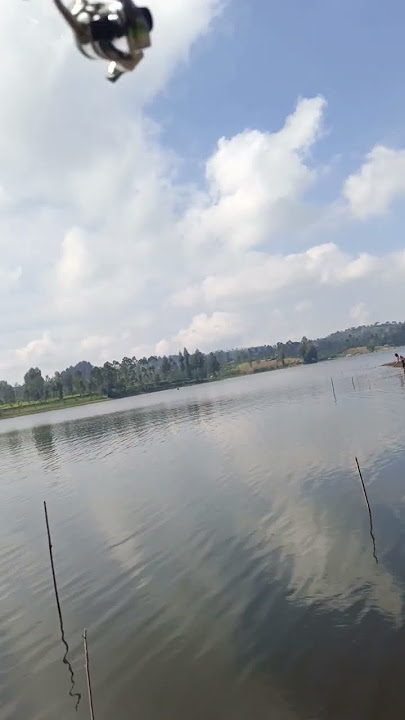 PERISTIWA MEMALUKAN SAAT MANCING IKAN #fishing #mancing #ikan #angler